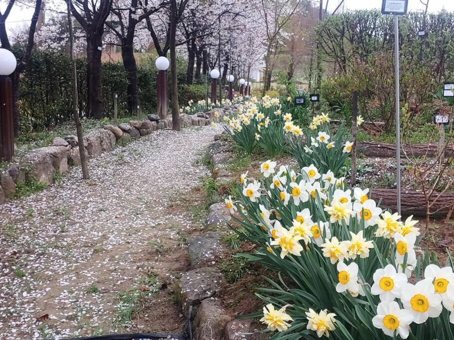 Yeongju European Garden House 빌라 외부 사진